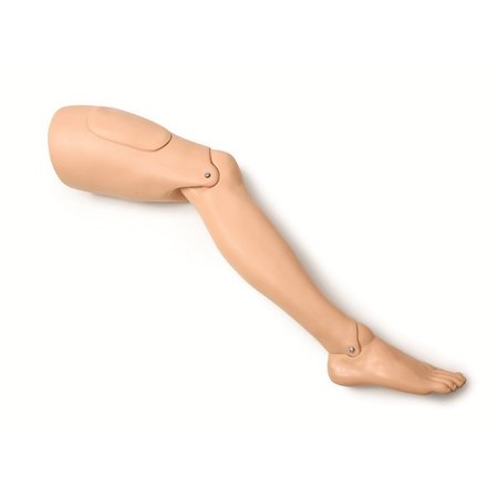 LAERDAL LEG; RIGHT ADULT-STD 380650